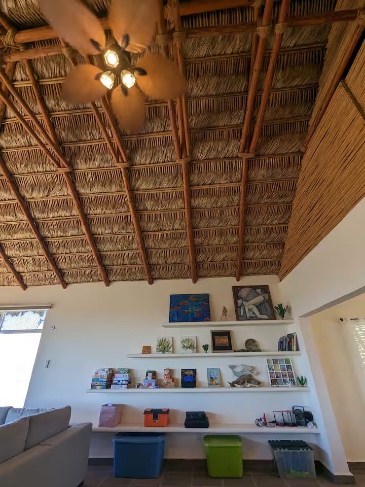 Living room shelves with books, games, and art